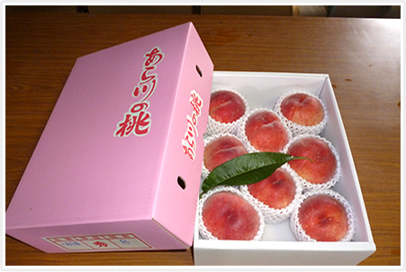 新品種なつおとめ