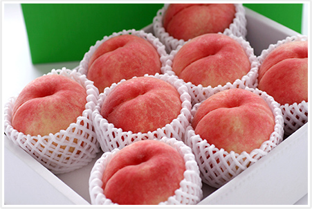 新品種なつおとめ