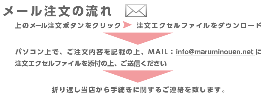 メール注文の流れ